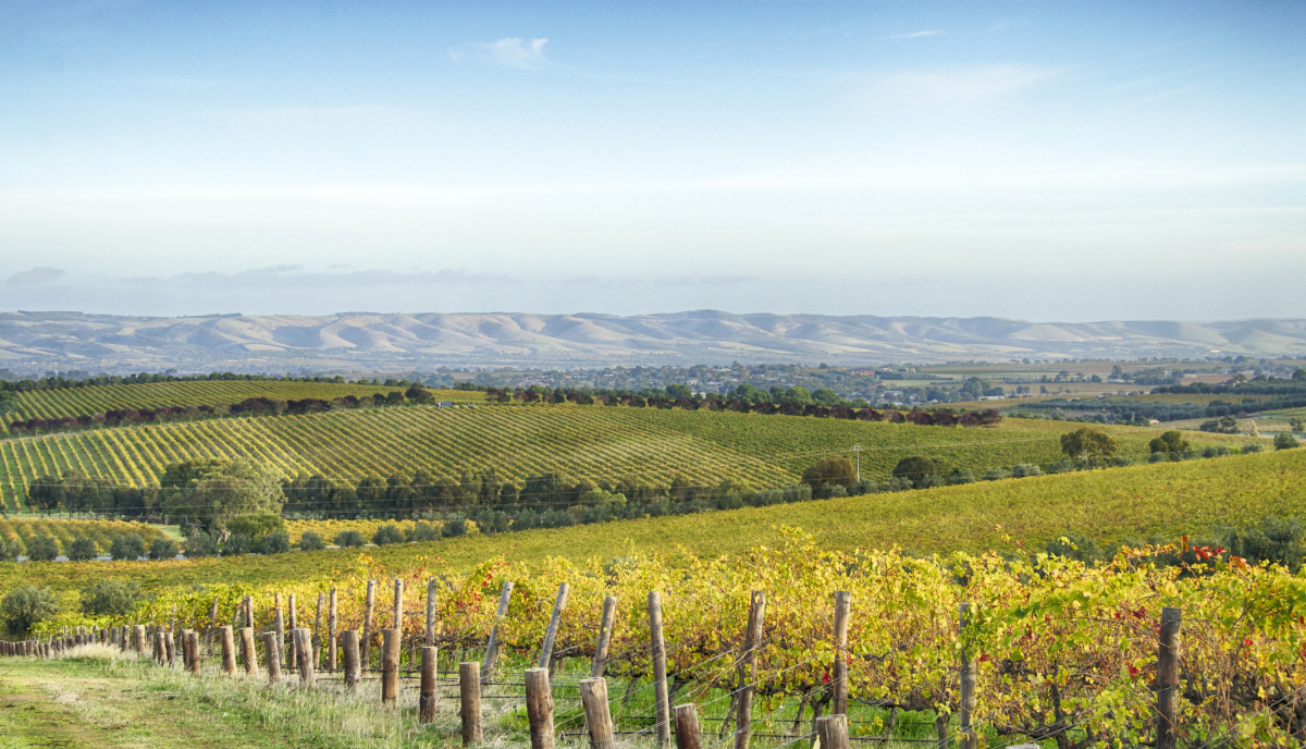 McLaren Vale