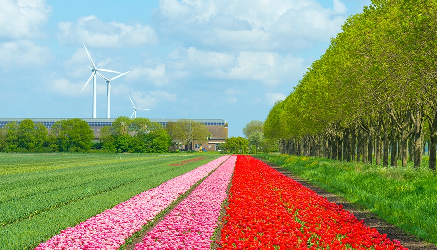 Sustainability Reporting