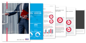 Spread view of the 2020 BDO Transparency Report
